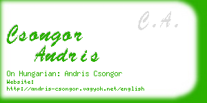 csongor andris business card
